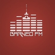 Радио Barneo FM