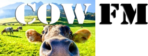 COW FM - Casino - 107.9 FM (MP3)